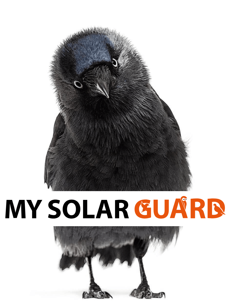 BIRD+GUARD+LGOO-1920w-min
